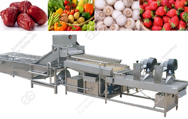 Fruit and Vegetable Cleaning Drying Line